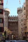 IMG_9937.JPG