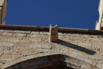 IMG_9963.JPG