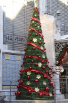 IMG_0019.JPG