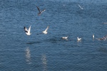 IMG_0143.JPG
