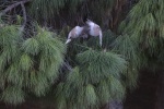IMG_0369.JPG