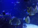 IMG_20191202_111731.jpg