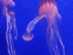 IMG_20191202_113027.jpg