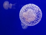 IMG_20191202_113205.jpg