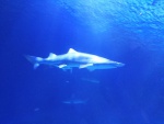 IMG_20191202_120052.jpg